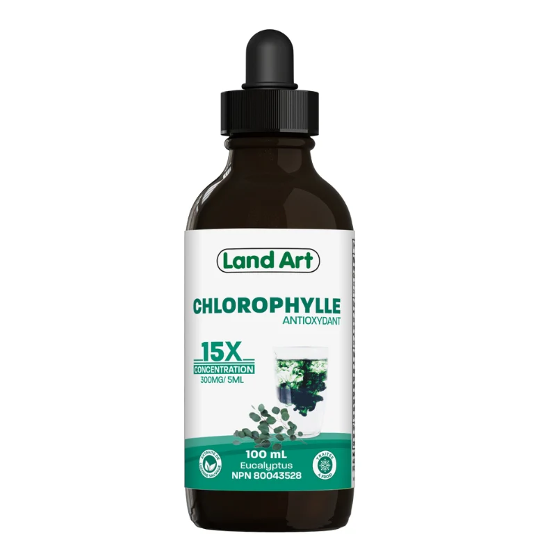 Chlorophylle concentrée 15X Eucalyptus